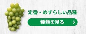 定番・珍しい品種を見る