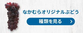 中村オリジナルぶどうの種類を見る