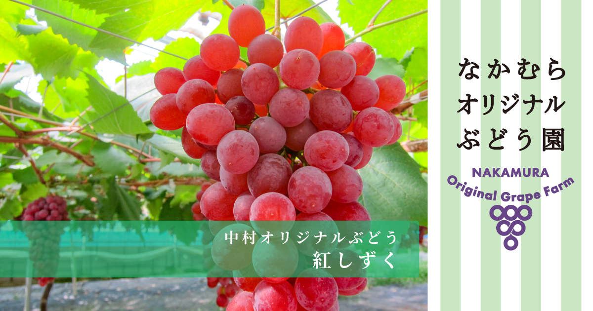 葡萄の実り　シーグラス／天然石／フレーム／リス／秋／ぶどう 葡萄の実り シーグラス／天然石／フレーム／リス／秋／ぶどう 葡萄の