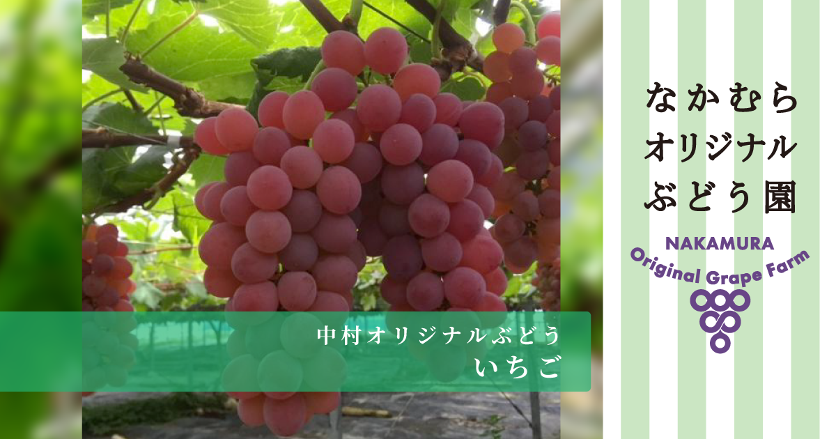 希少　レア　ウエッジウッド立体　ハンドペイント　いちご　ぶどう 希少 レア ウエッジウッド立体 ハンドペイント いちご ぶどう 希少